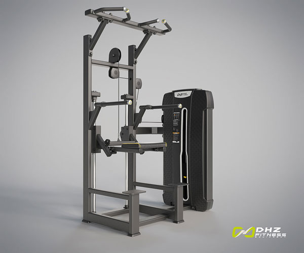 Dip / Chin Assist E4009